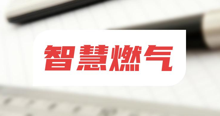 走進(jìn)智慧燃?xì)鈺r代：更安全、更便捷的用氣新體驗