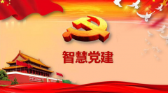 用上互聯(lián)網(wǎng)技術(shù)就是“互聯(lián)網(wǎng)+黨建”了嗎？